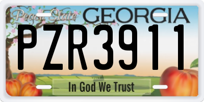 GA license plate PZR3911