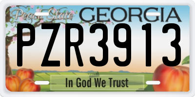 GA license plate PZR3913