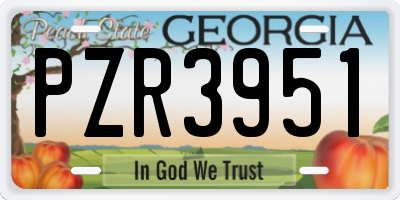 GA license plate PZR3951