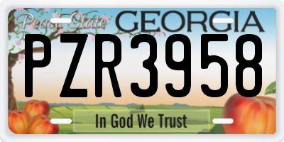 GA license plate PZR3958