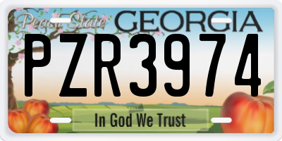 GA license plate PZR3974