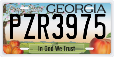 GA license plate PZR3975