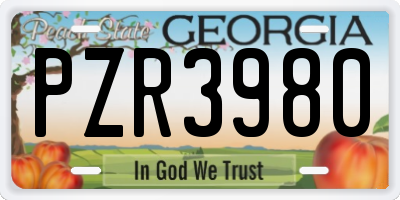 GA license plate PZR3980