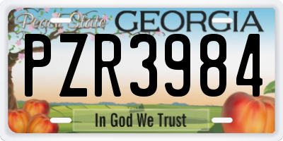 GA license plate PZR3984