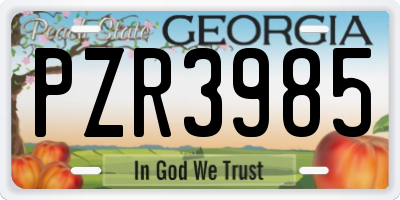 GA license plate PZR3985