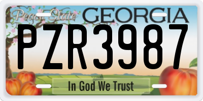 GA license plate PZR3987