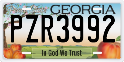 GA license plate PZR3992