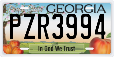 GA license plate PZR3994