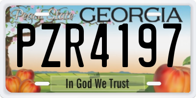 GA license plate PZR4197