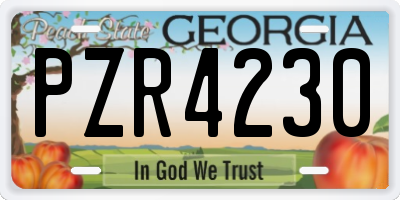 GA license plate PZR4230