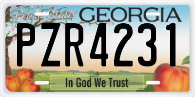GA license plate PZR4231