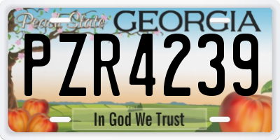 GA license plate PZR4239