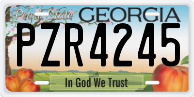 GA license plate PZR4245