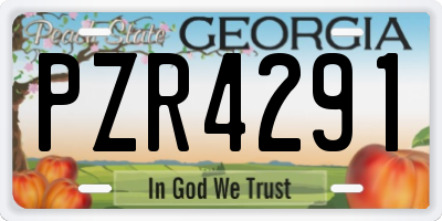 GA license plate PZR4291