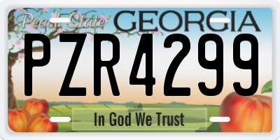 GA license plate PZR4299