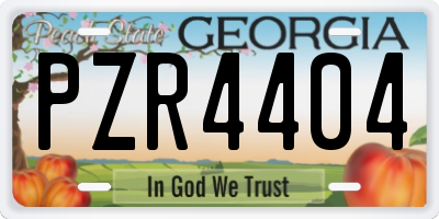 GA license plate PZR4404