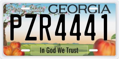 GA license plate PZR4441
