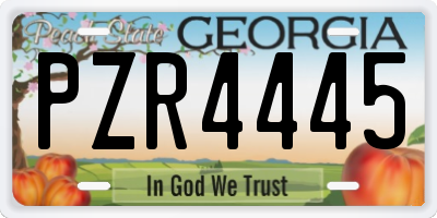 GA license plate PZR4445