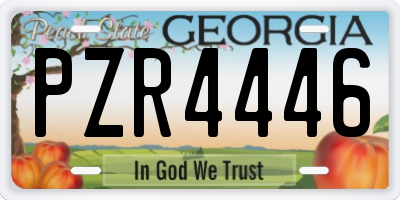 GA license plate PZR4446
