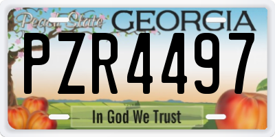 GA license plate PZR4497
