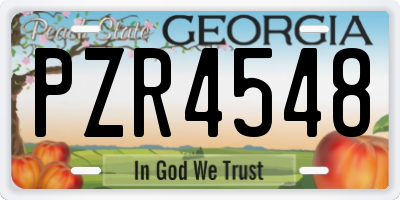 GA license plate PZR4548
