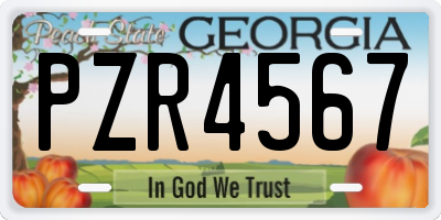GA license plate PZR4567