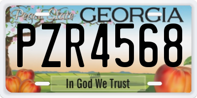 GA license plate PZR4568