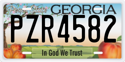 GA license plate PZR4582