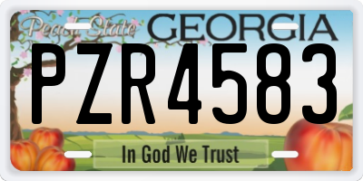 GA license plate PZR4583