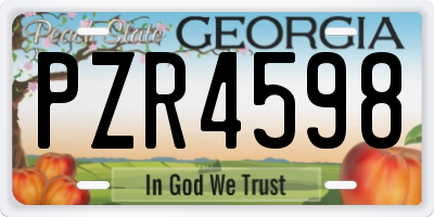 GA license plate PZR4598