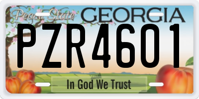 GA license plate PZR4601