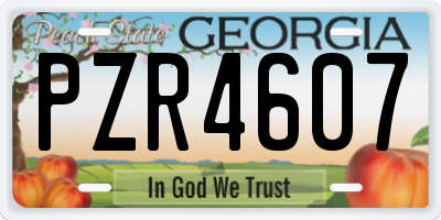 GA license plate PZR4607