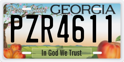 GA license plate PZR4611