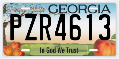 GA license plate PZR4613