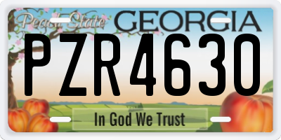 GA license plate PZR4630