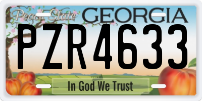 GA license plate PZR4633