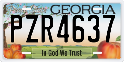 GA license plate PZR4637