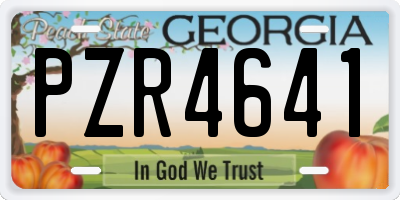 GA license plate PZR4641