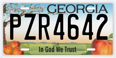 GA license plate PZR4642