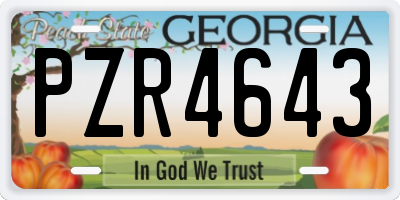 GA license plate PZR4643