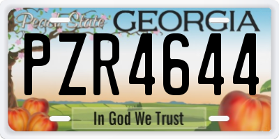 GA license plate PZR4644