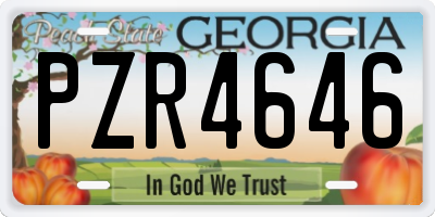 GA license plate PZR4646