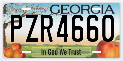 GA license plate PZR4660