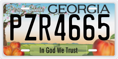 GA license plate PZR4665