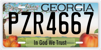 GA license plate PZR4667