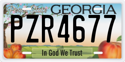 GA license plate PZR4677