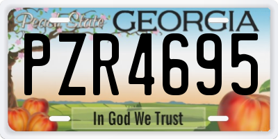 GA license plate PZR4695