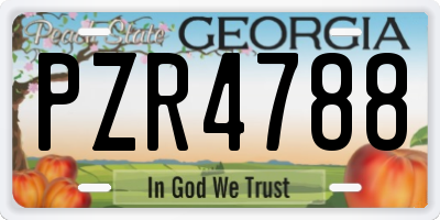 GA license plate PZR4788