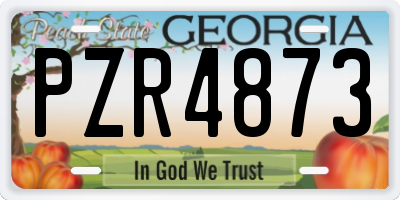 GA license plate PZR4873
