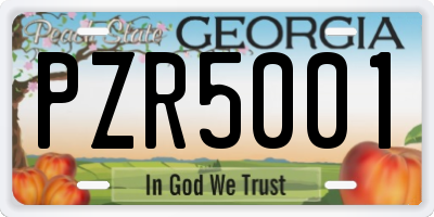 GA license plate PZR5001